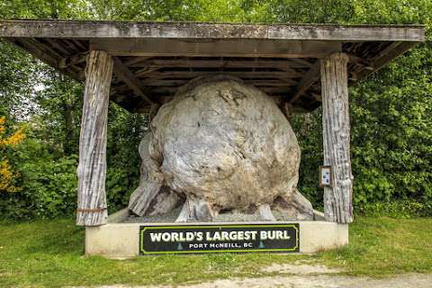 Worlds Largest Burl